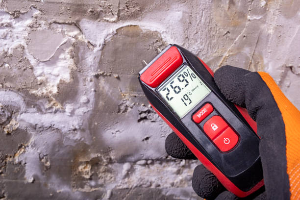 Best Home Mold Removal  in Silver Hill, MD