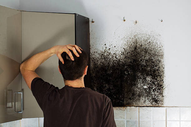 Best Crawl Space Mold Removal  in Silver Hill, MD